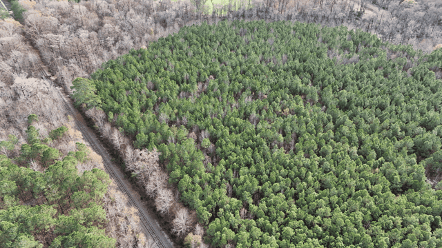 54-AC Investment Tract near Washington & Greenville, NC
