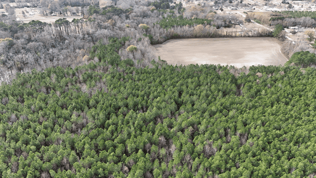 54-AC Investment Tract near Washington & Greenville, NC