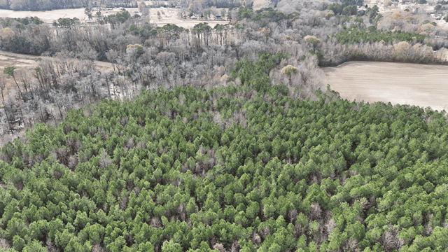 54-AC Investment Tract near Washington & Greenville, NC