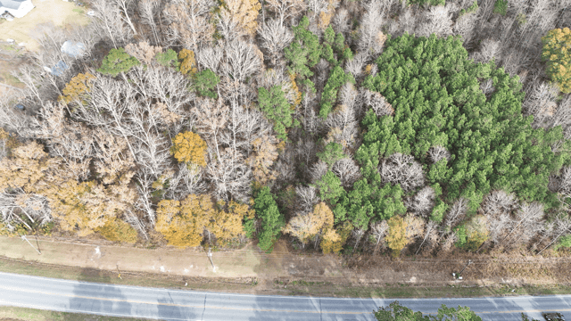 54-AC Investment Tract near Washington & Greenville, NC