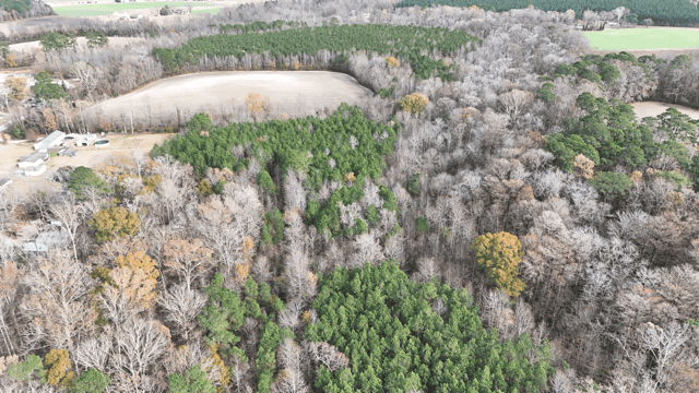 54-AC Investment Tract near Washington & Greenville, NC