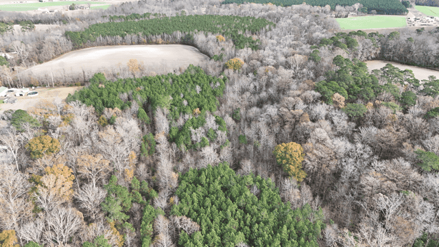 54-AC Investment Tract near Washington & Greenville, NC