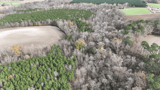 54-AC Investment Tract near Washington & Greenville, NC
