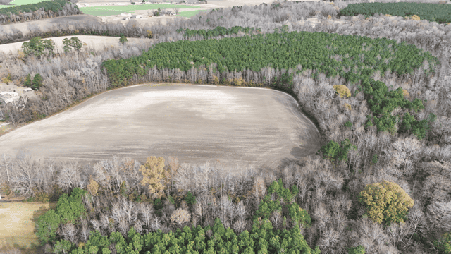 54-AC Investment Tract near Washington & Greenville, NC