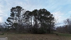 120 Gaye Road Rayle, GA 30660