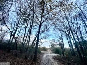 120 Gaye Road Rayle, GA 30660