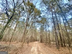 120 Gaye Road Rayle, GA 30660
