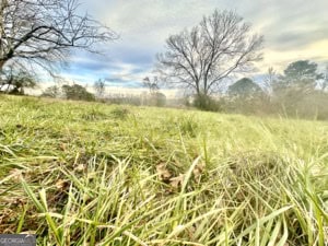 120 Gaye Road Rayle, GA 30660