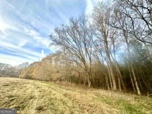 120 Gaye Road Rayle, GA 30660