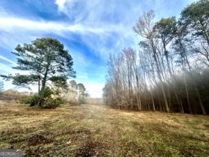 120 Gaye Road Rayle, GA 30660