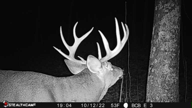 Affordable Hunting Land with Trout Stream for Sale in Richland County, Wisconsin