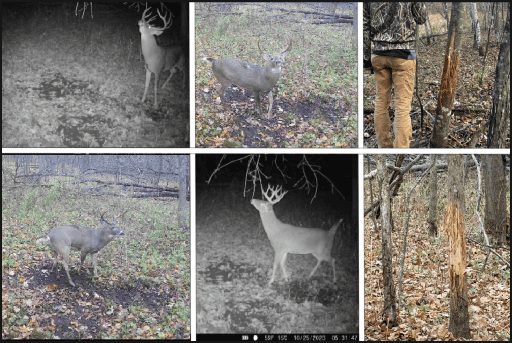 Ridgetop Hunting Land for sale in Vernon County, Wisconsin