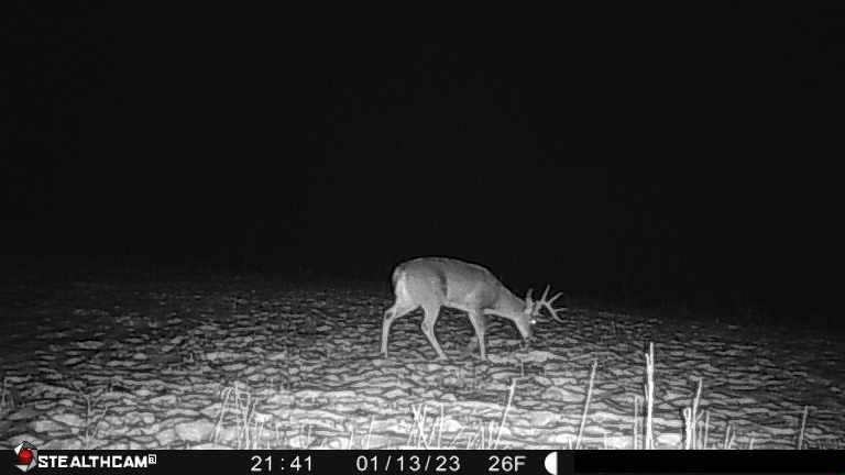 Affordable Hunting Land with Trout Stream for Sale in Richland County, Wisconsin