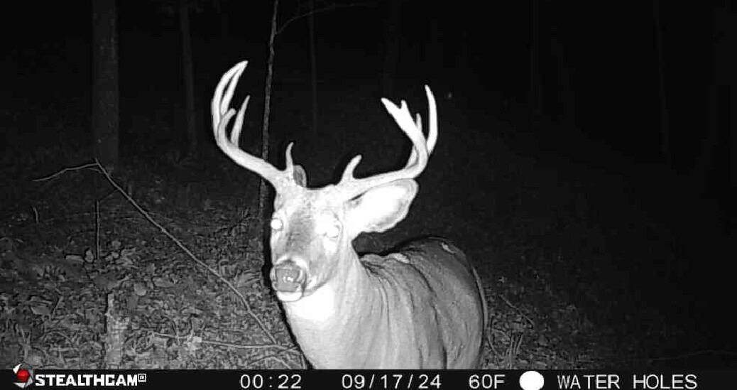 Affordable Hunting Land with Trout Stream for Sale in Richland County, Wisconsin