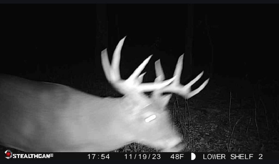 Affordable Hunting Land with Trout Stream for Sale in Richland County, Wisconsin
