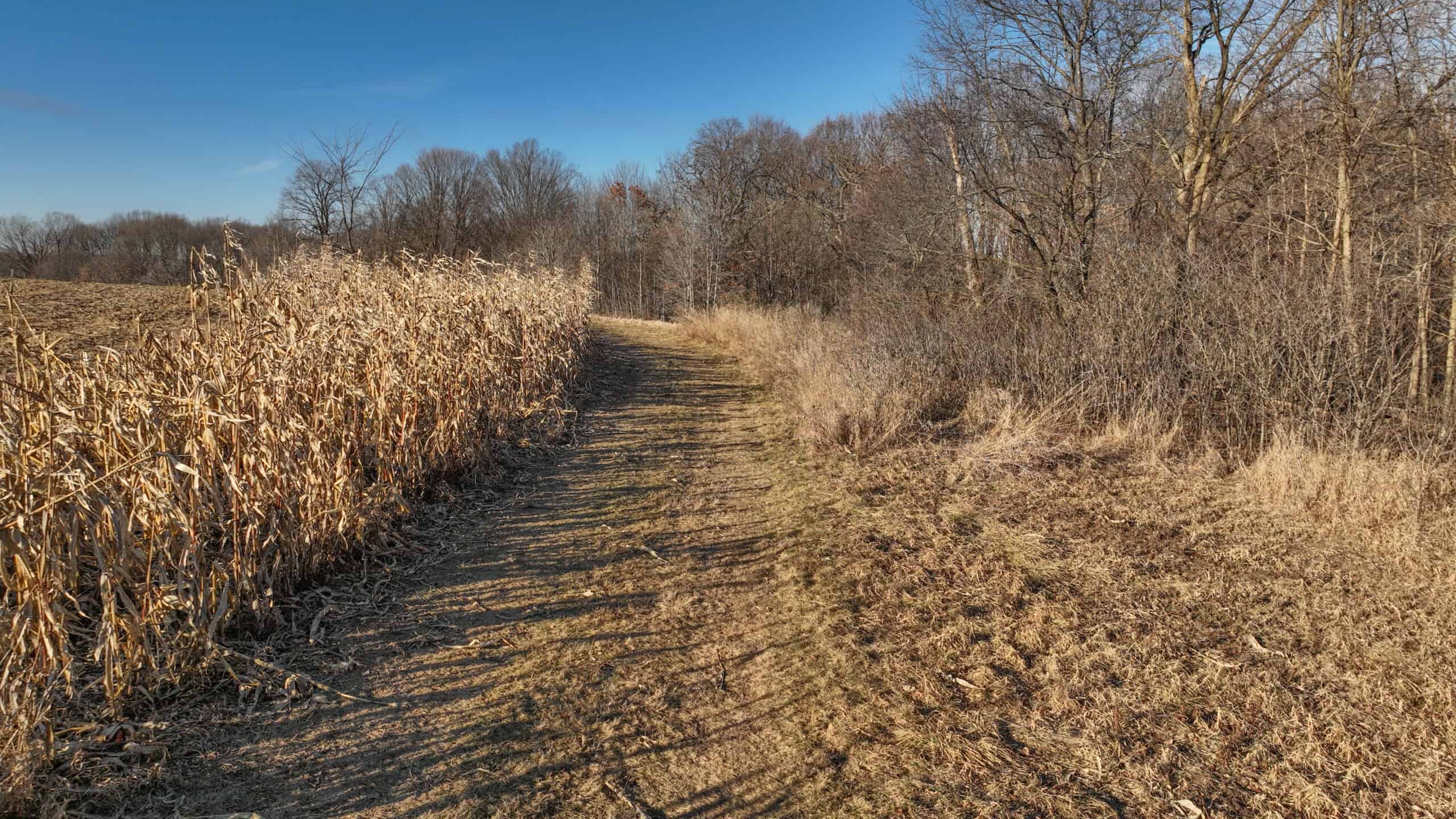 Ridgetop Hunting Land for sale in Vernon County, Wisconsin