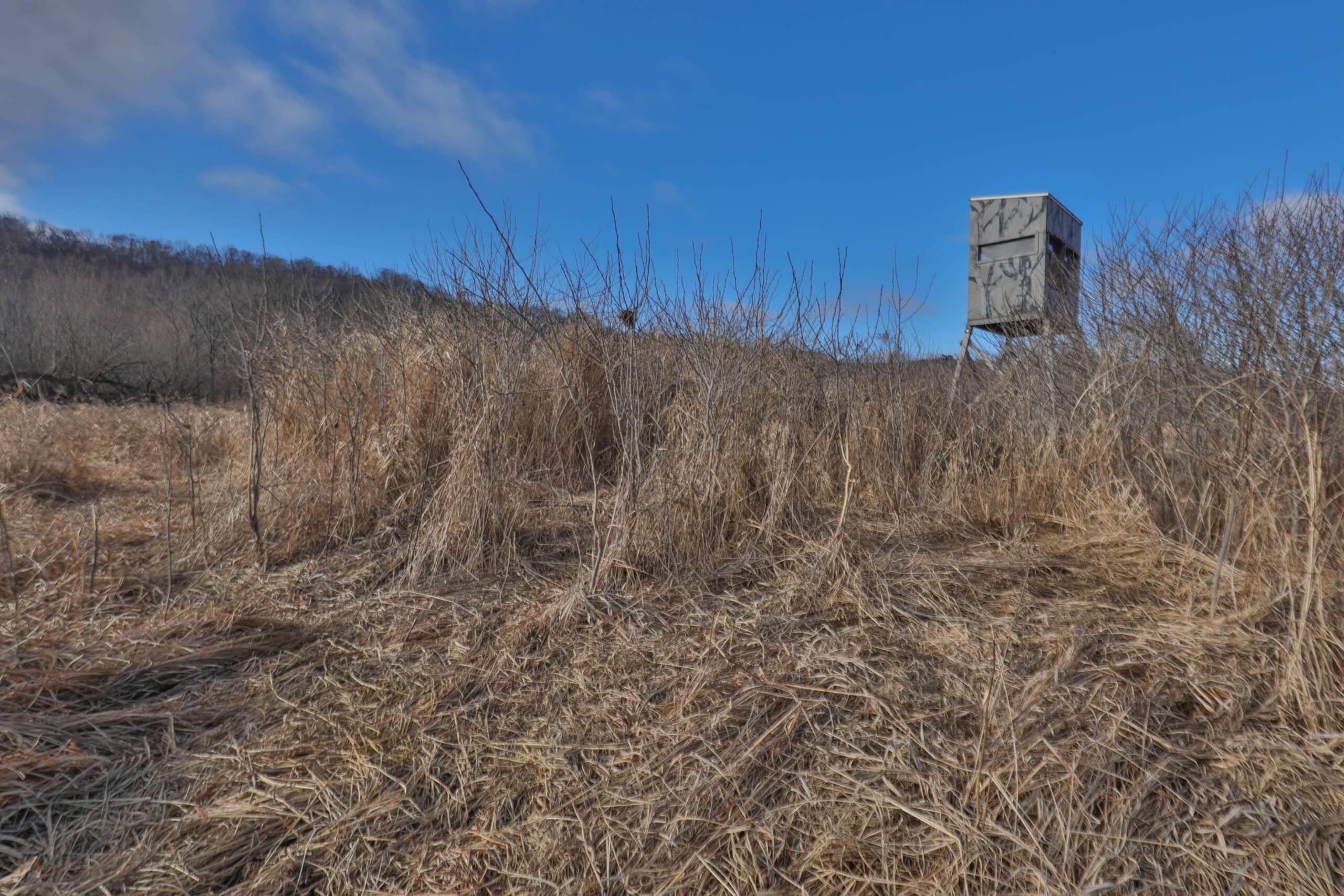 Affordable Hunting Land with Trout Stream for Sale in Richland County, Wisconsin