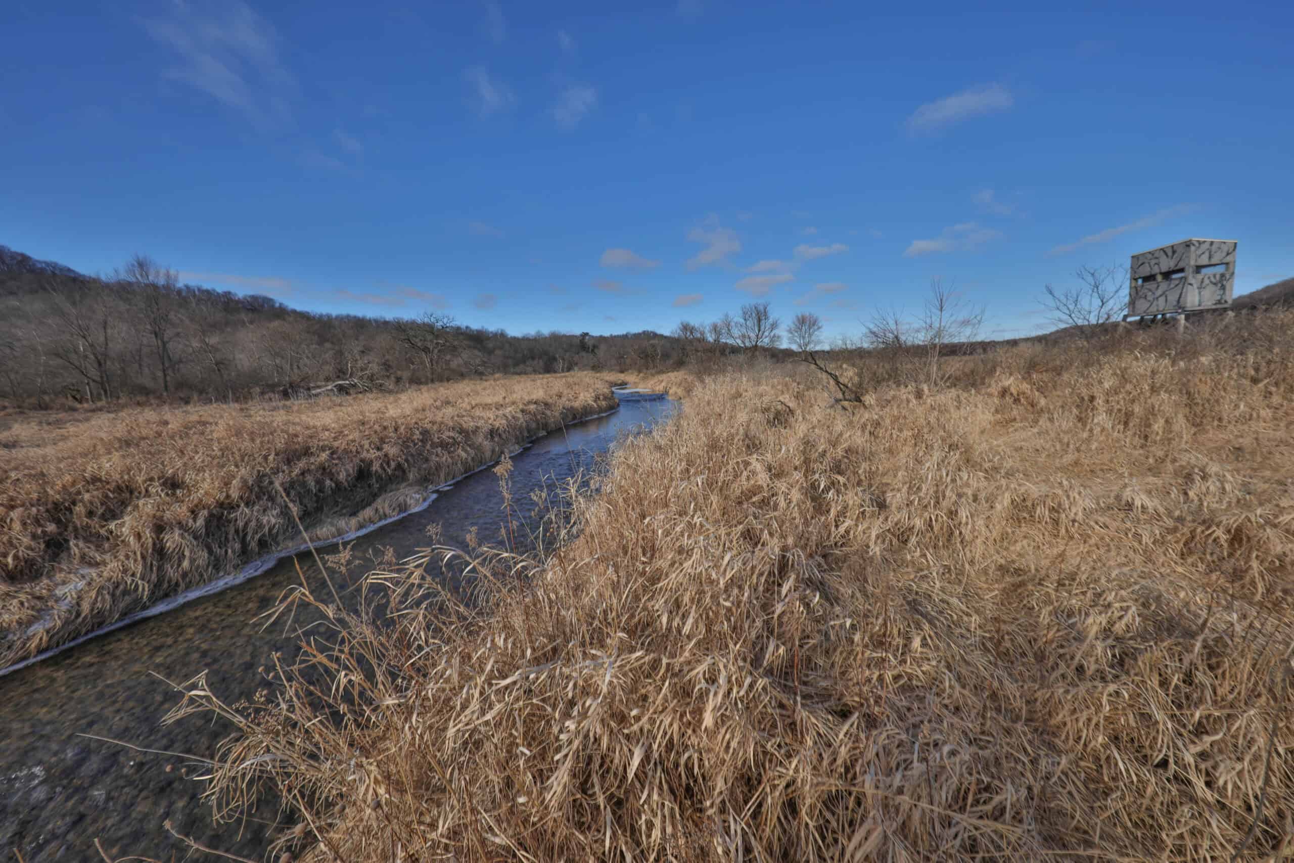 Affordable Hunting Land with Trout Stream for Sale in Richland County, Wisconsin
