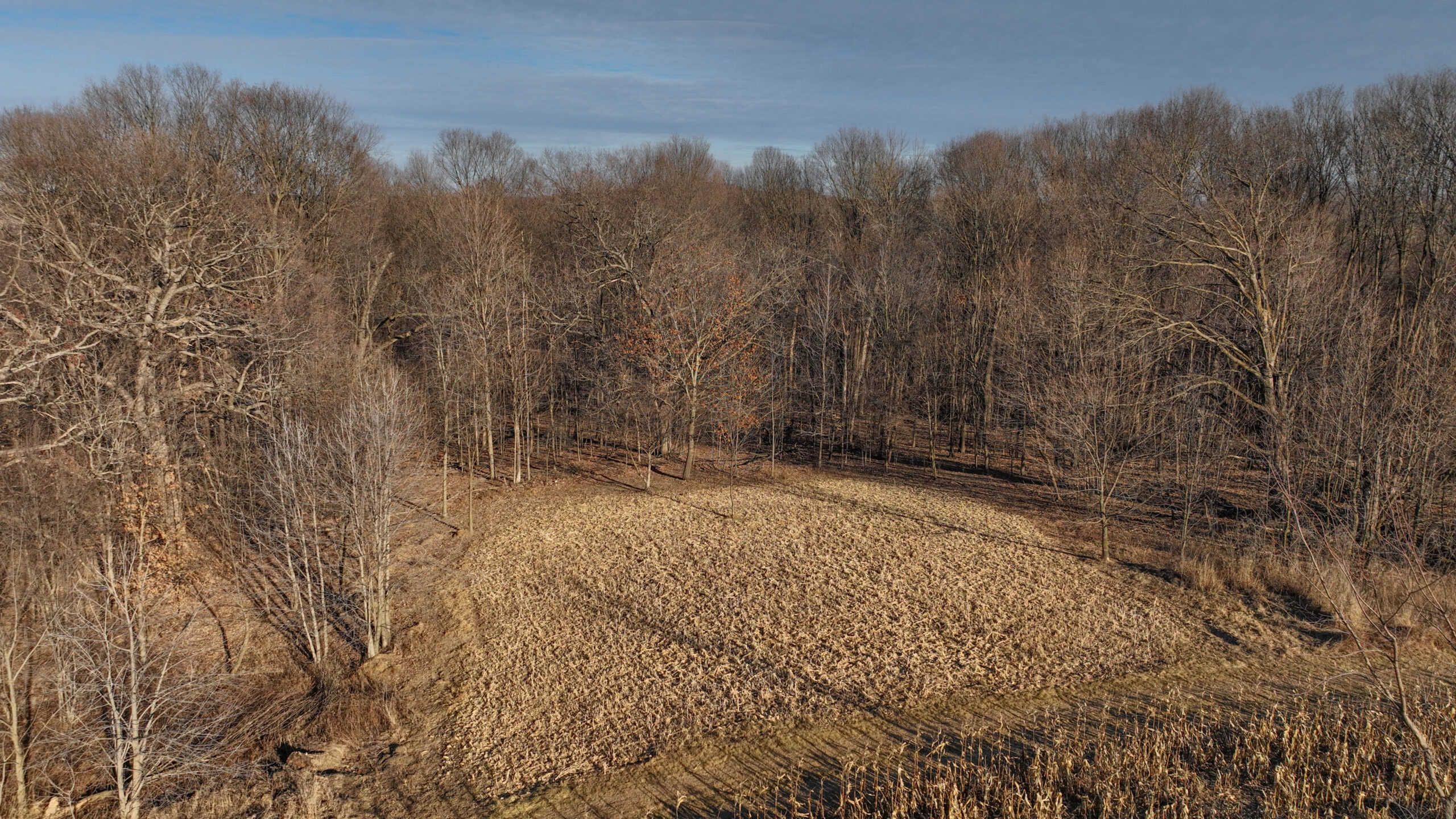 Ridgetop Hunting Land for sale in Vernon County, Wisconsin
