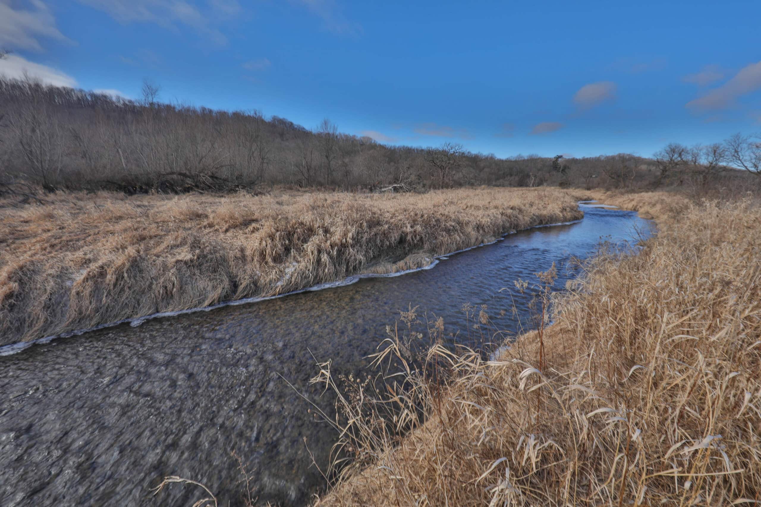 Affordable Hunting Land with Trout Stream for Sale in Richland County, Wisconsin