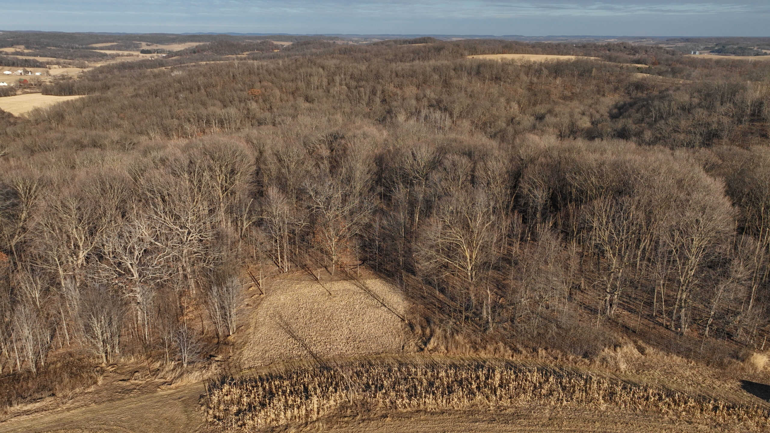 Ridgetop Hunting Land for sale in Vernon County, Wisconsin