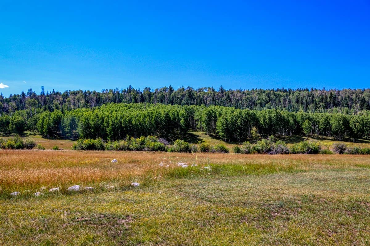 Big Creek Ranch, Chama New Mexico