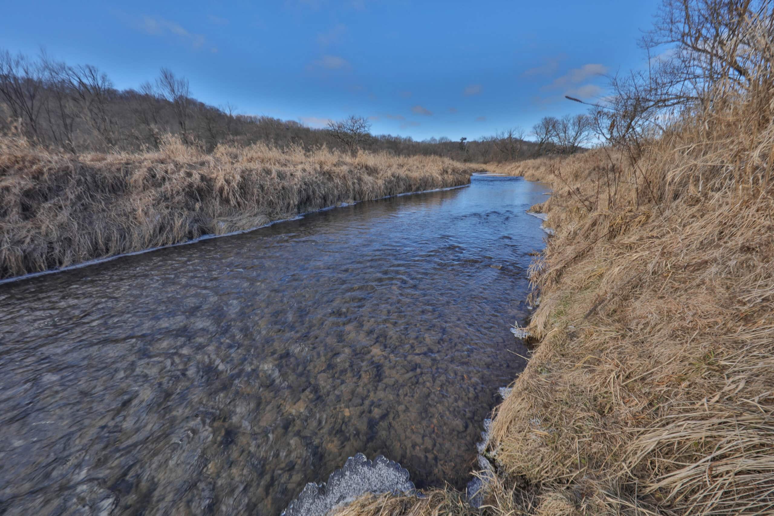 Affordable Hunting Land with Trout Stream for Sale in Richland County, Wisconsin