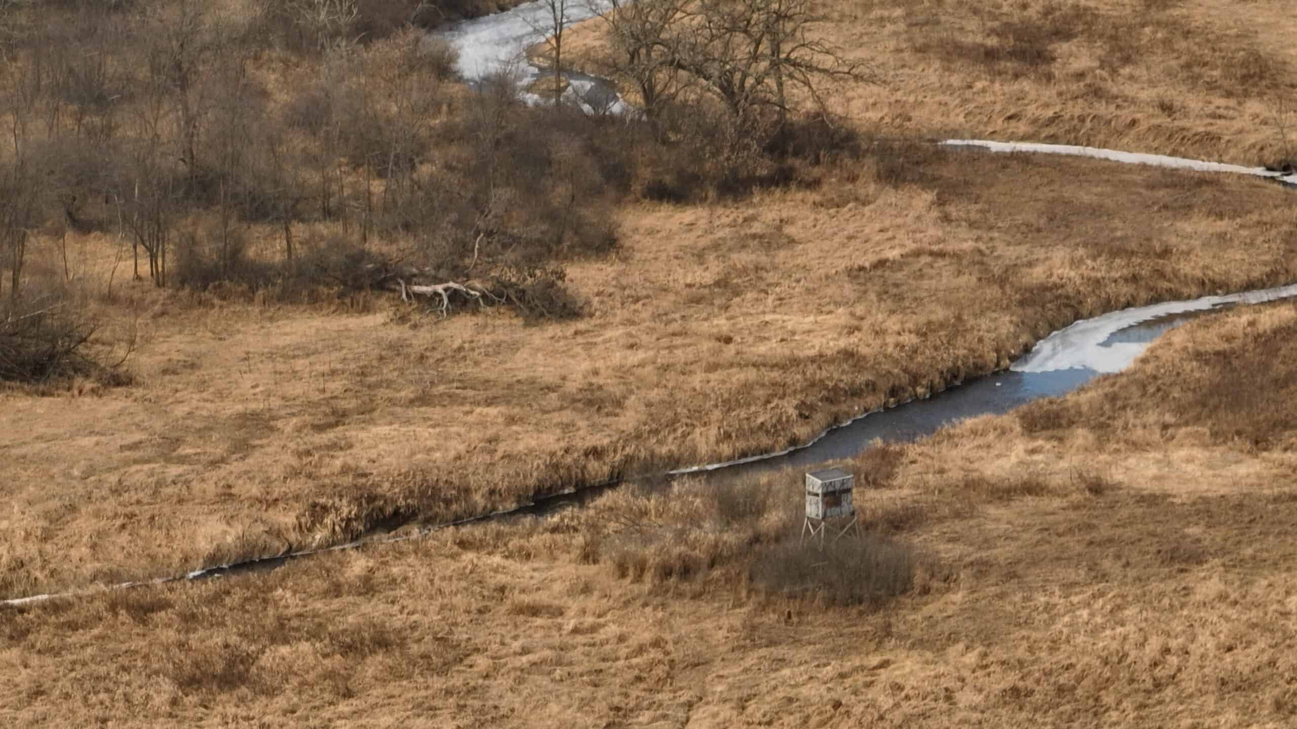 Affordable Hunting Land with Trout Stream for Sale in Richland County, Wisconsin