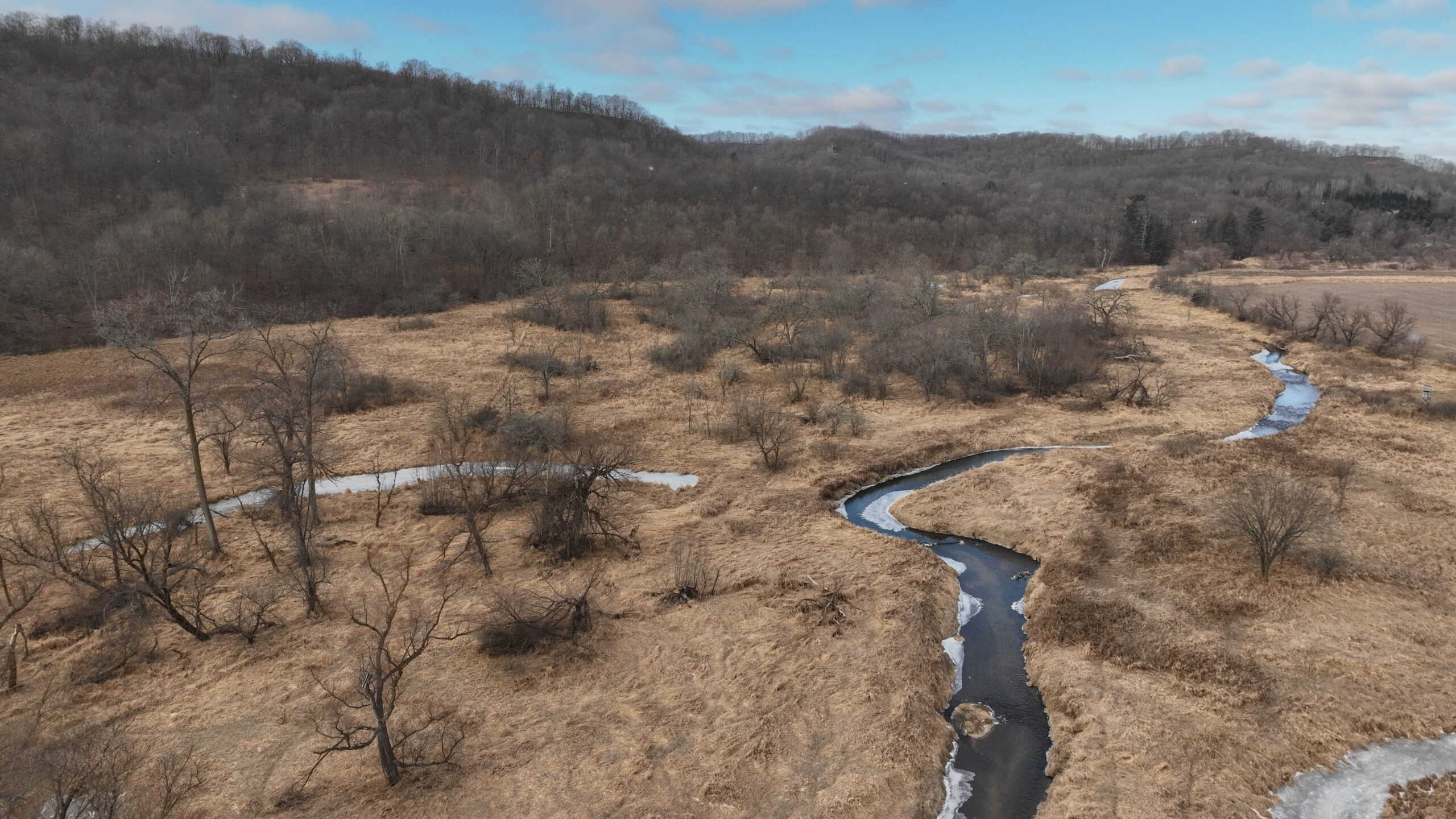 Affordable Hunting Land with Trout Stream for Sale in Richland County, Wisconsin