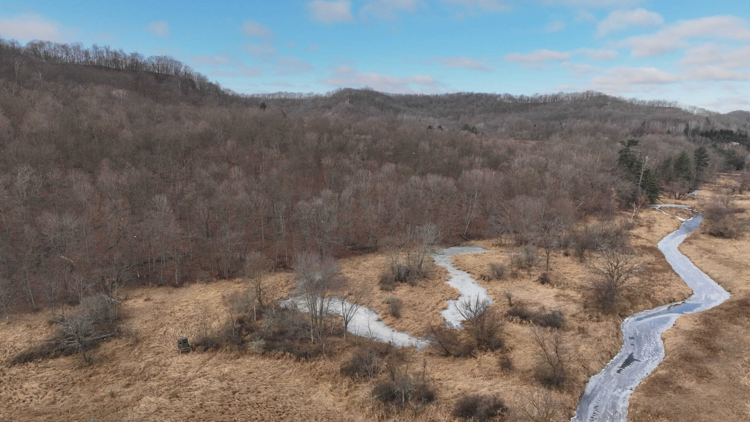 Affordable Hunting Land with Trout Stream for Sale in Richland County, Wisconsin