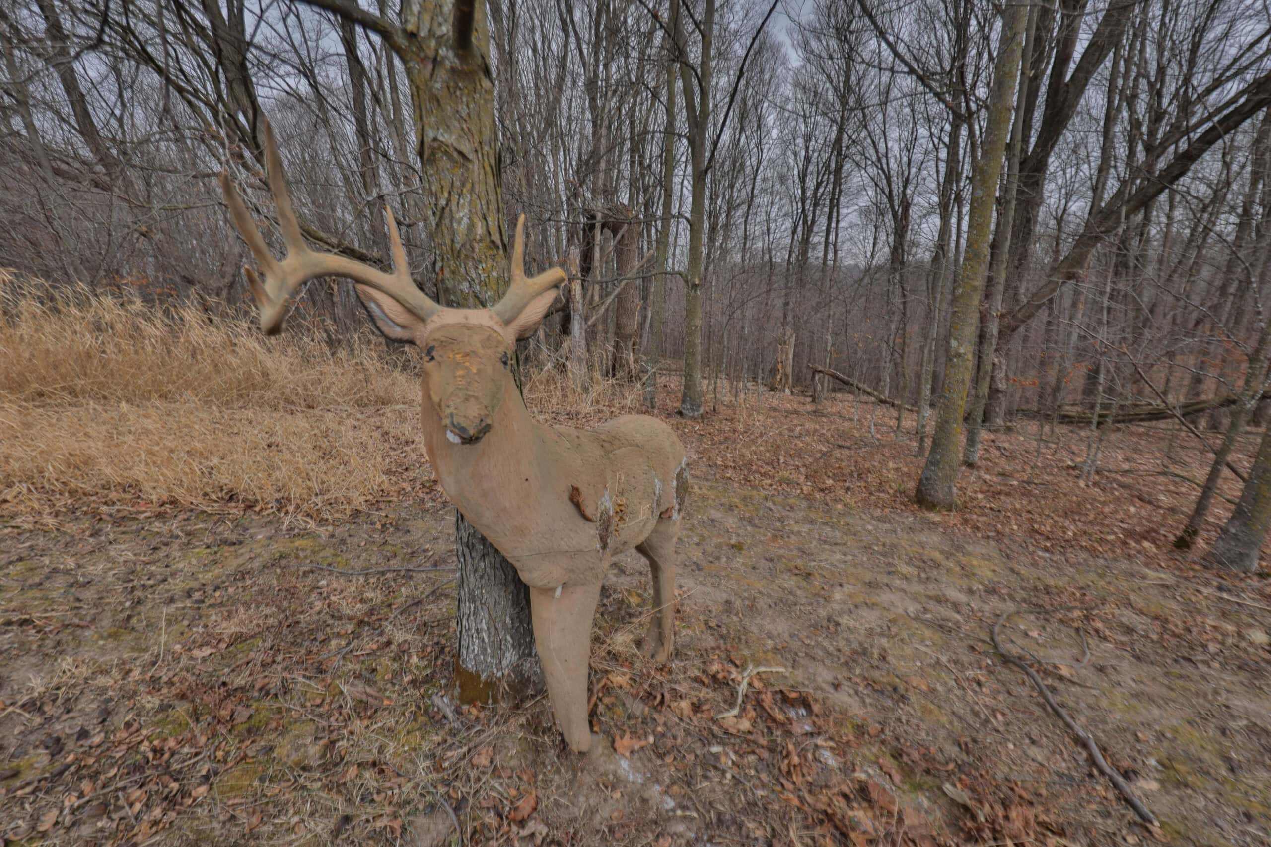 Ridgetop Hunting Land for sale in Vernon County, Wisconsin