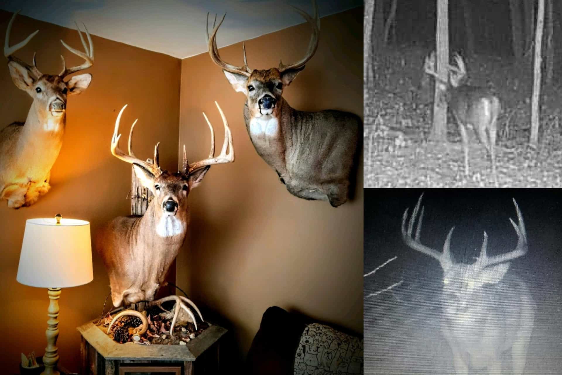 Affordable Hunting Land with Trout Stream for Sale in Richland County, Wisconsin