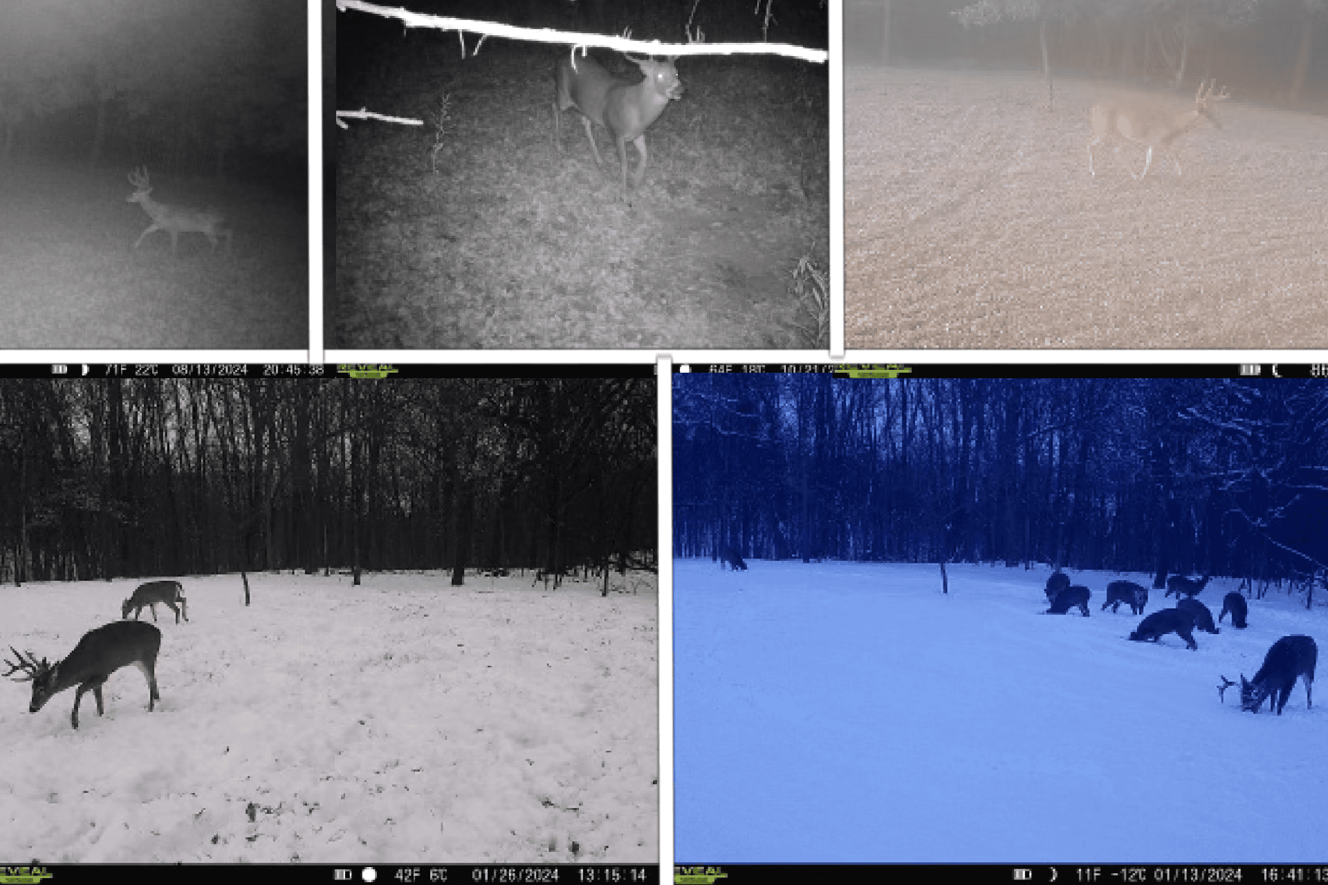 Ridgetop Hunting Land for sale in Vernon County, Wisconsin