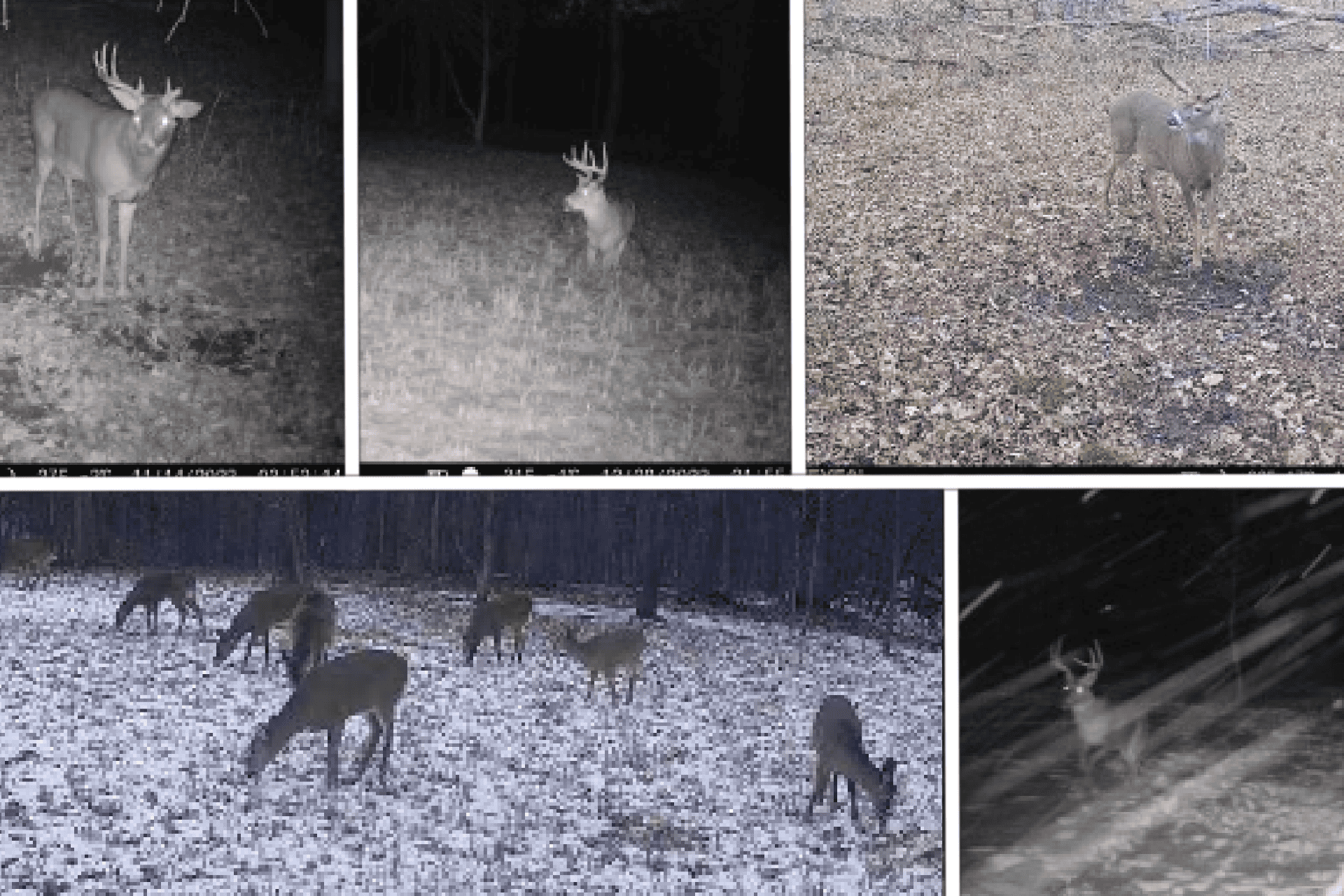 Ridgetop Hunting Land for sale in Vernon County, Wisconsin