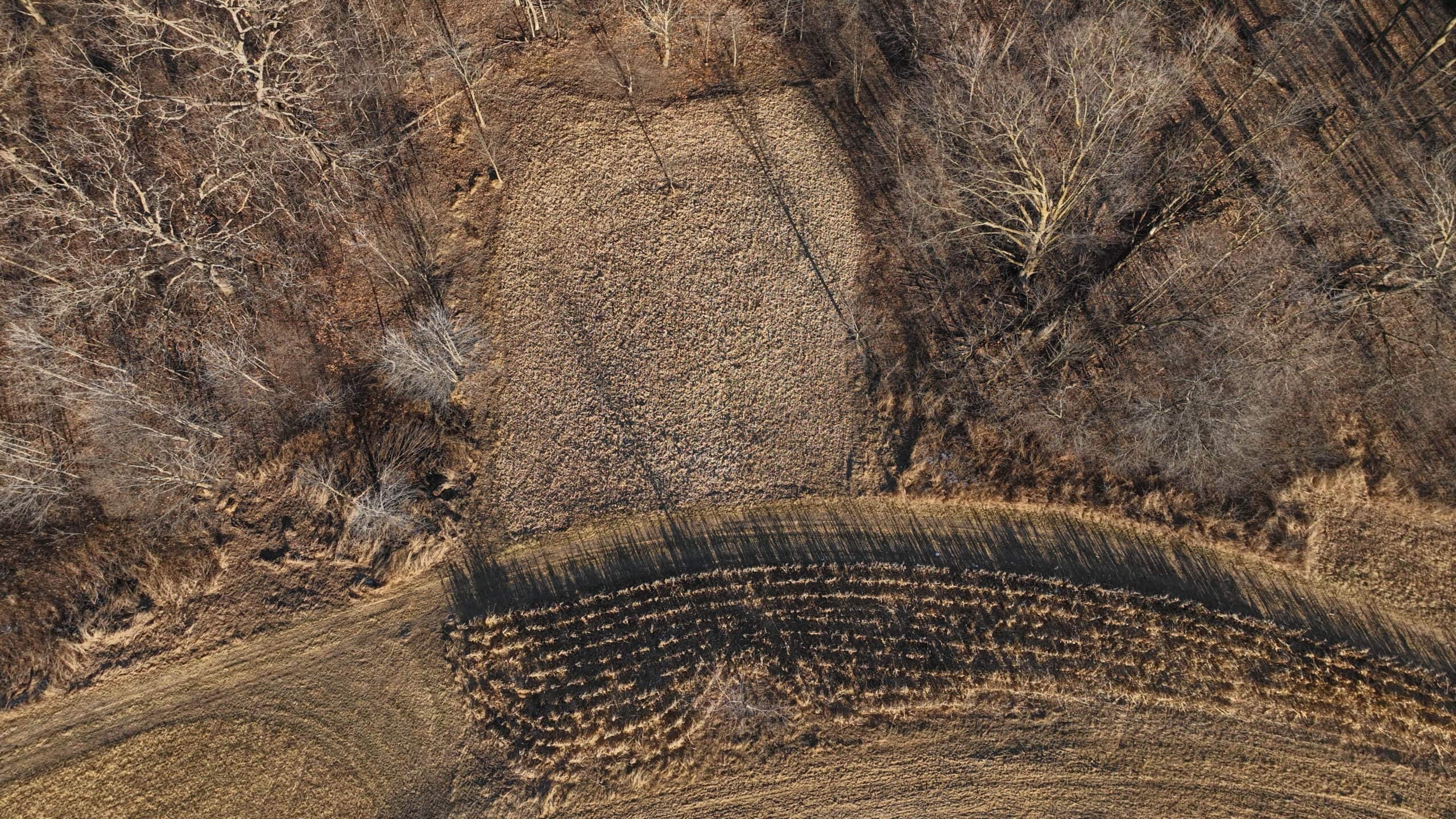Ridgetop Hunting Land for sale in Vernon County, Wisconsin