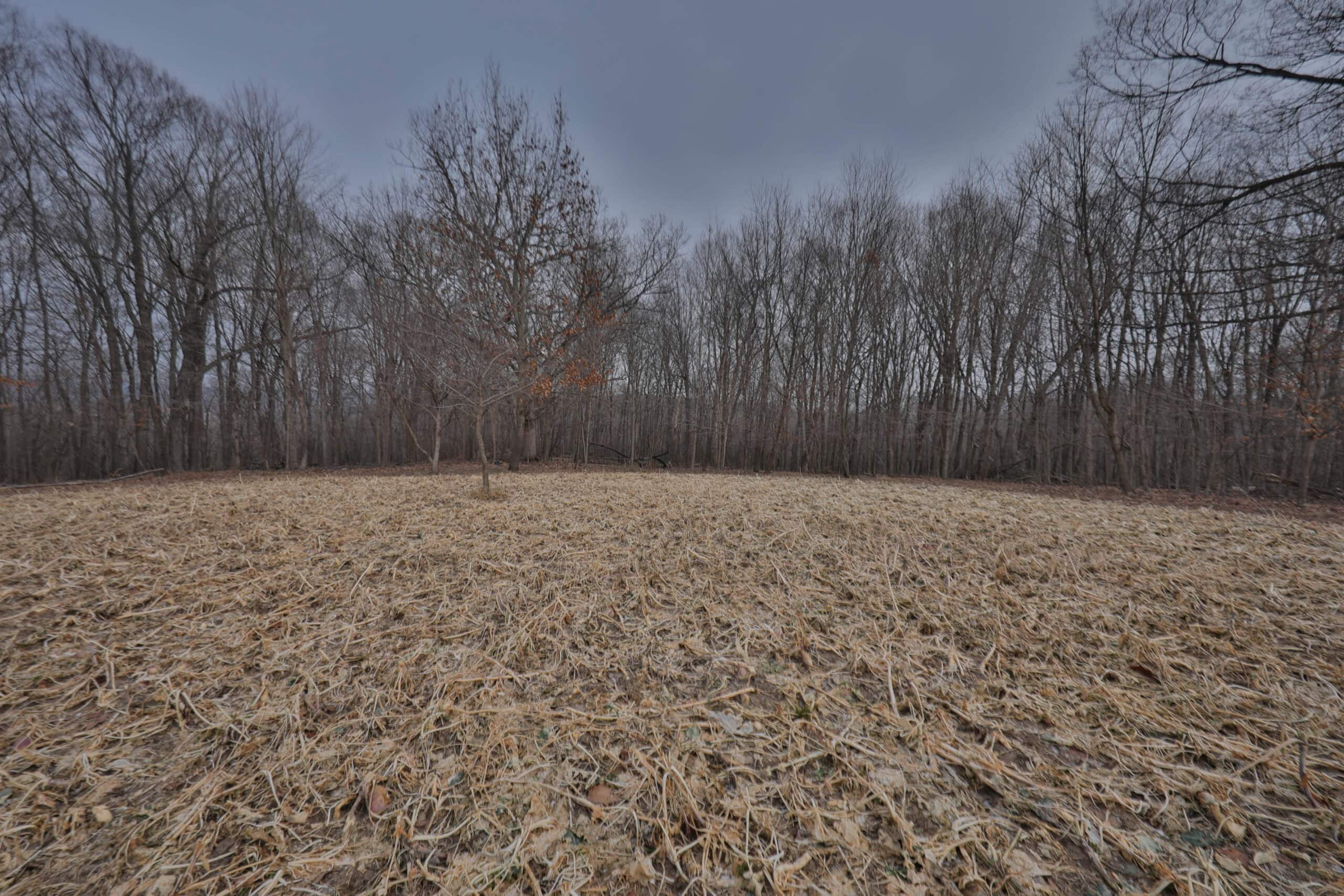 Ridgetop Hunting Land for sale in Vernon County, Wisconsin