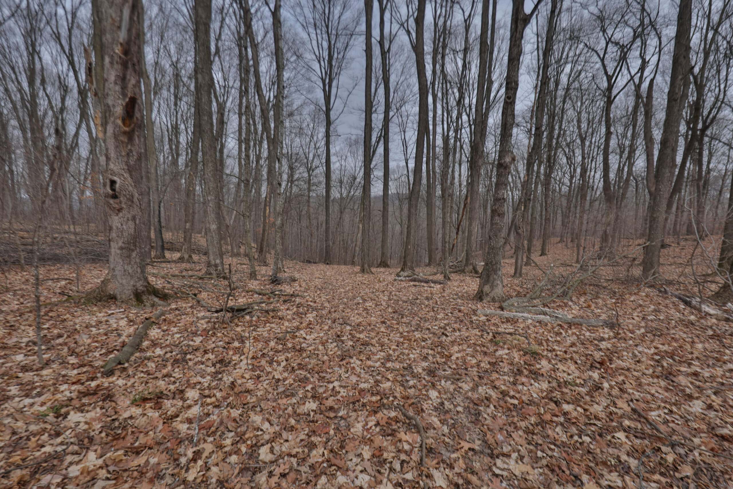 Ridgetop Hunting Land for sale in Vernon County, Wisconsin