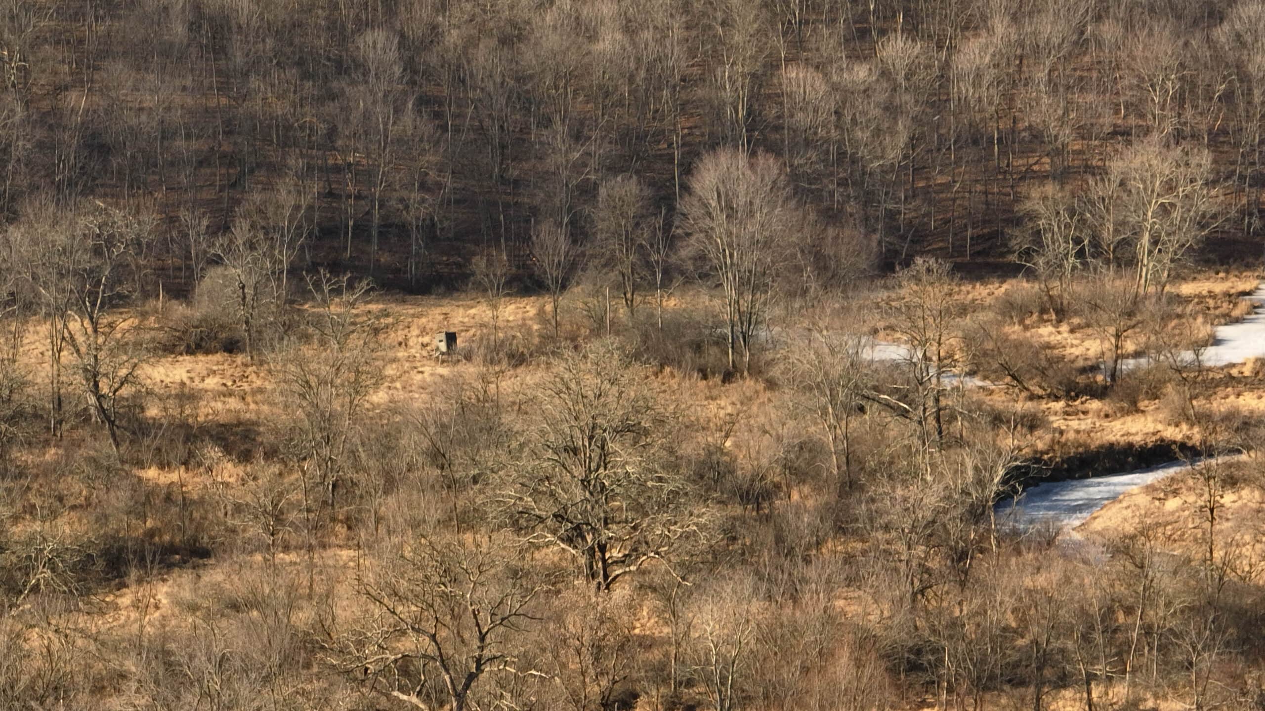 Affordable Hunting Land with Trout Stream for Sale in Richland County, Wisconsin