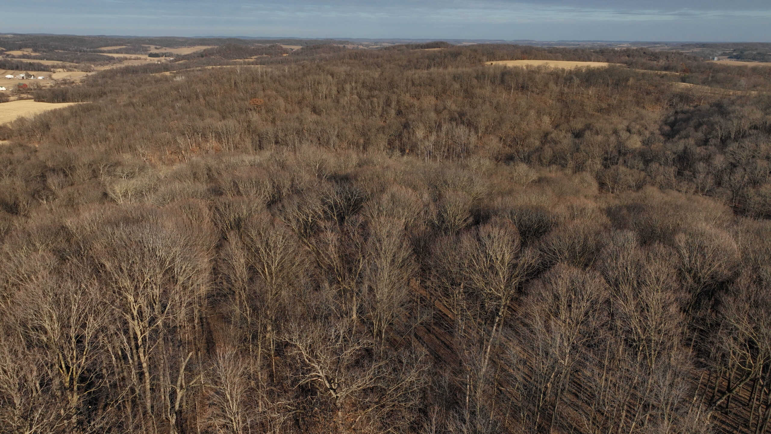 Ridgetop Hunting Land for sale in Vernon County, Wisconsin