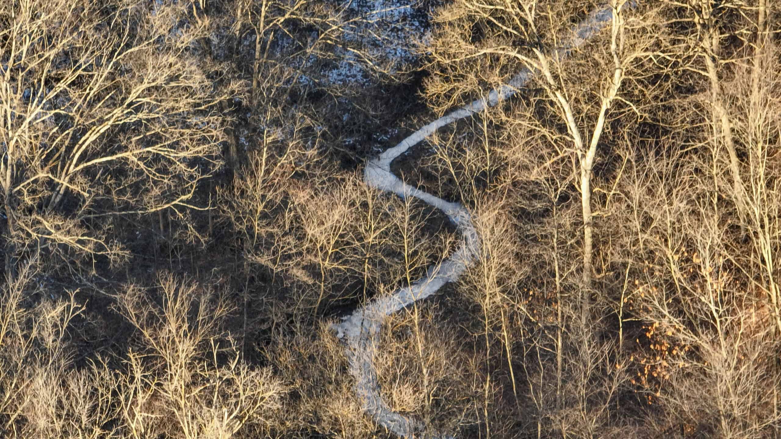 Ridgetop Hunting Land for sale in Vernon County, Wisconsin