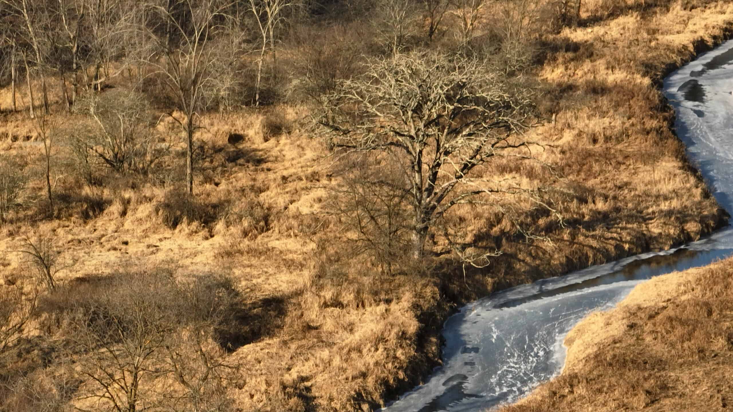 Affordable Hunting Land with Trout Stream for Sale in Richland County, Wisconsin