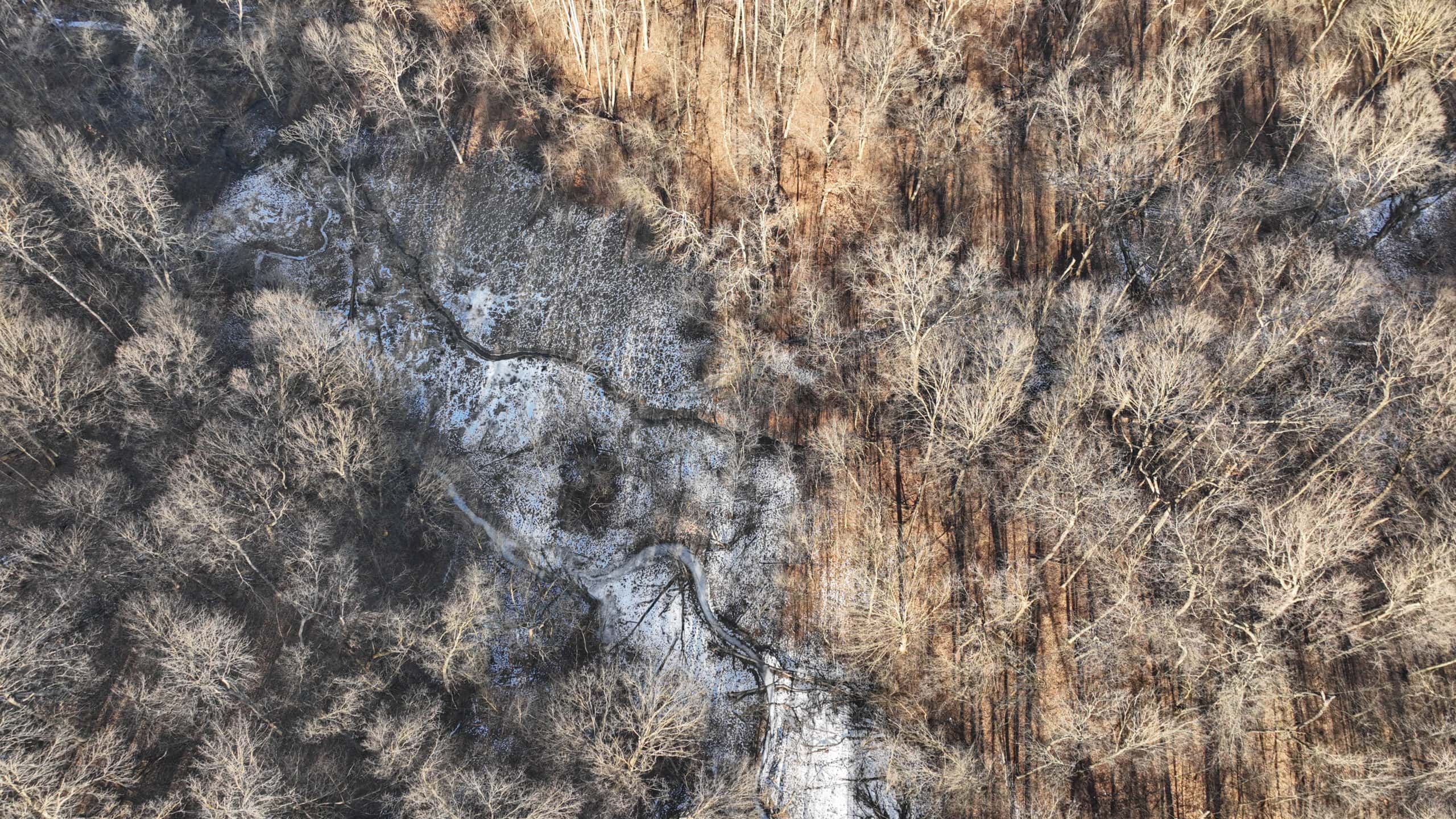 Ridgetop Hunting Land for sale in Vernon County, Wisconsin