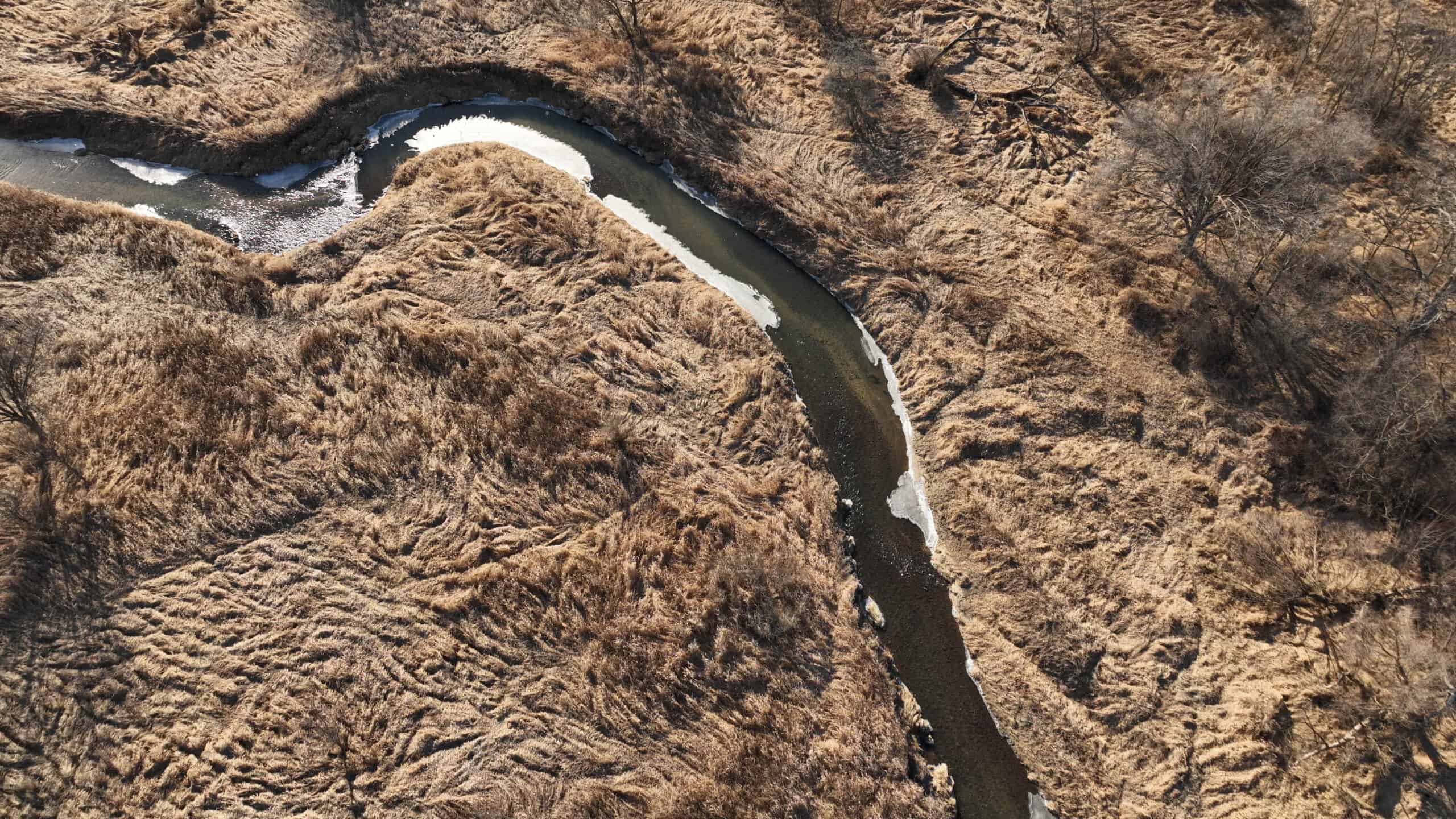 Affordable Hunting Land with Trout Stream for Sale in Richland County, Wisconsin