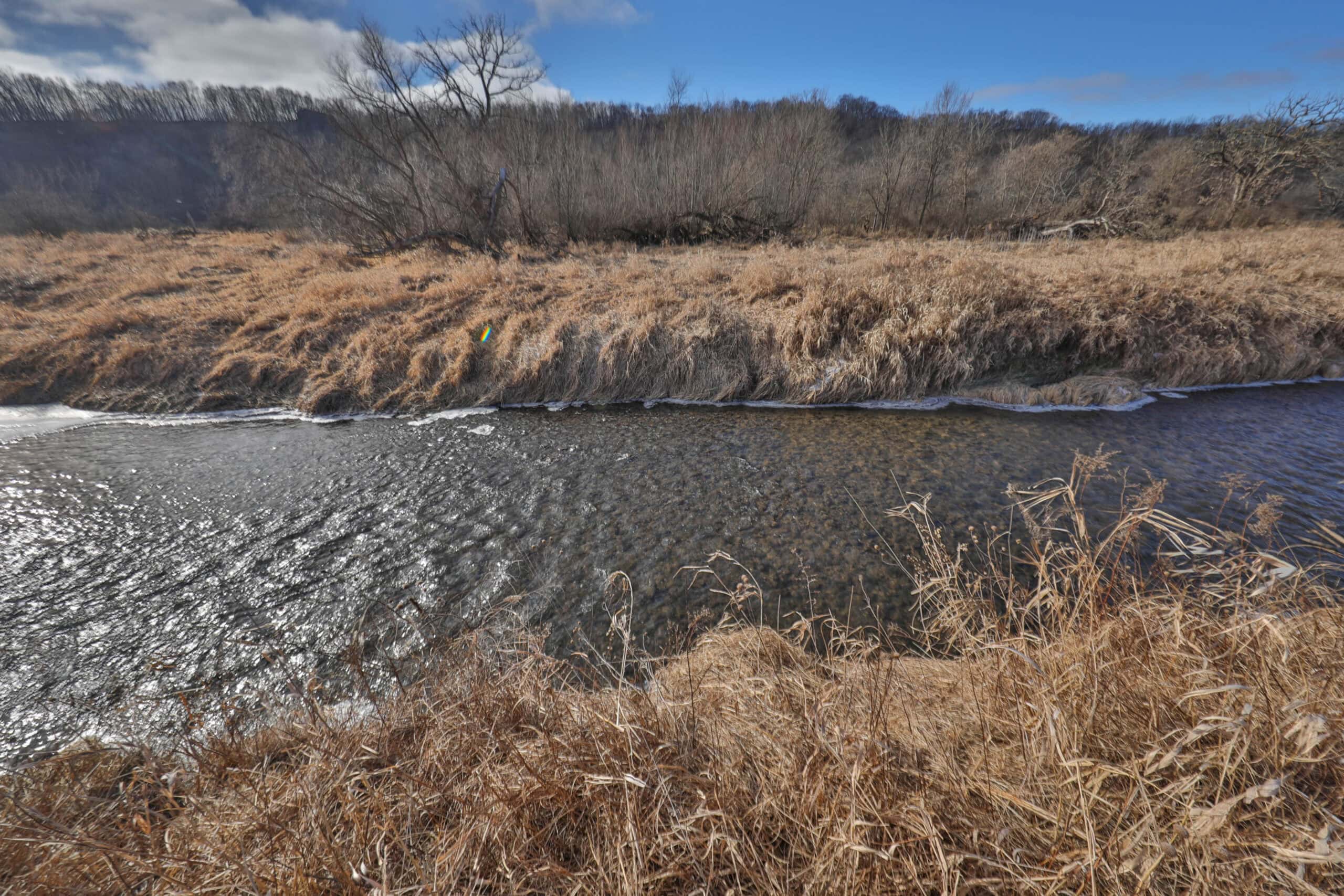 Affordable Hunting Land with Trout Stream for Sale in Richland County, Wisconsin