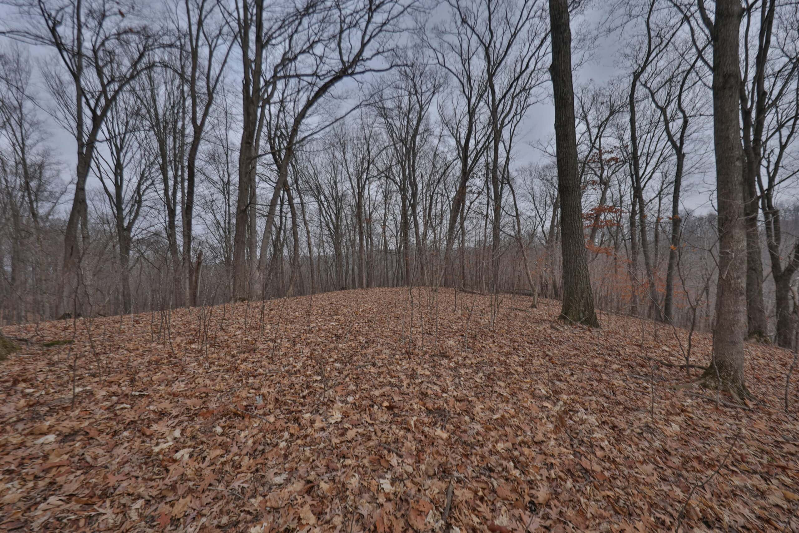 Ridgetop Hunting Land for sale in Vernon County, Wisconsin