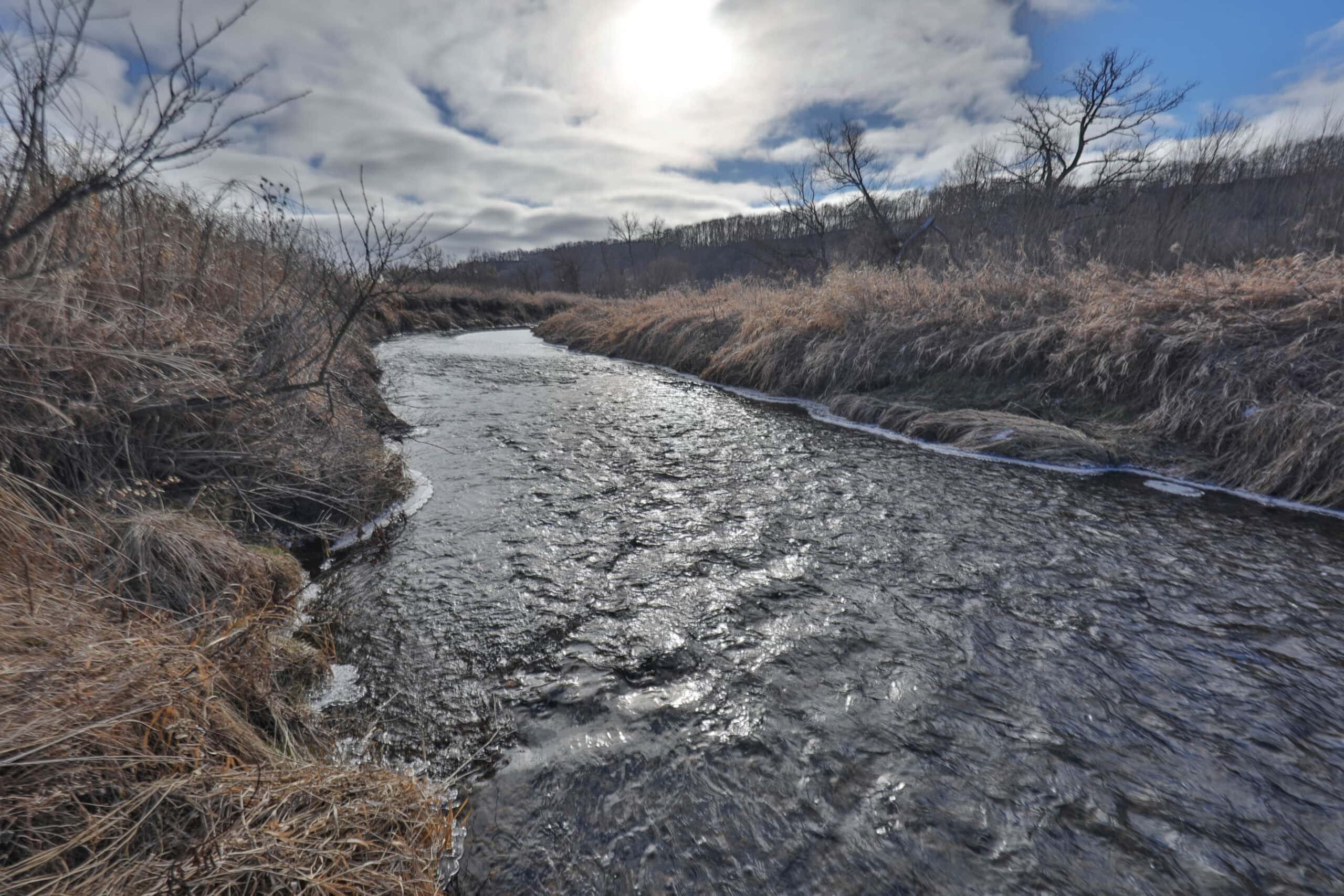Affordable Hunting Land with Trout Stream for Sale in Richland County, Wisconsin