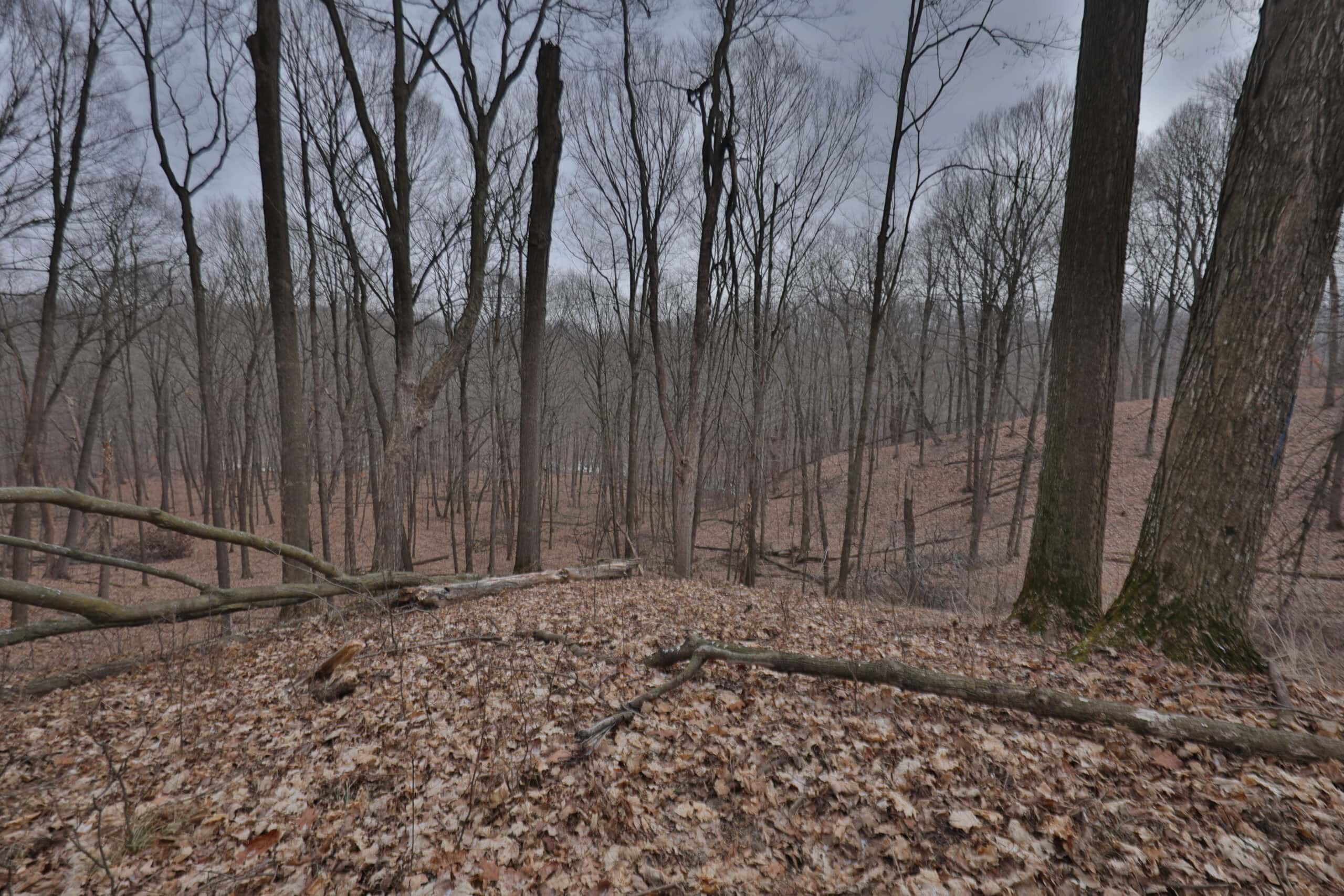 Ridgetop Hunting Land for sale in Vernon County, Wisconsin