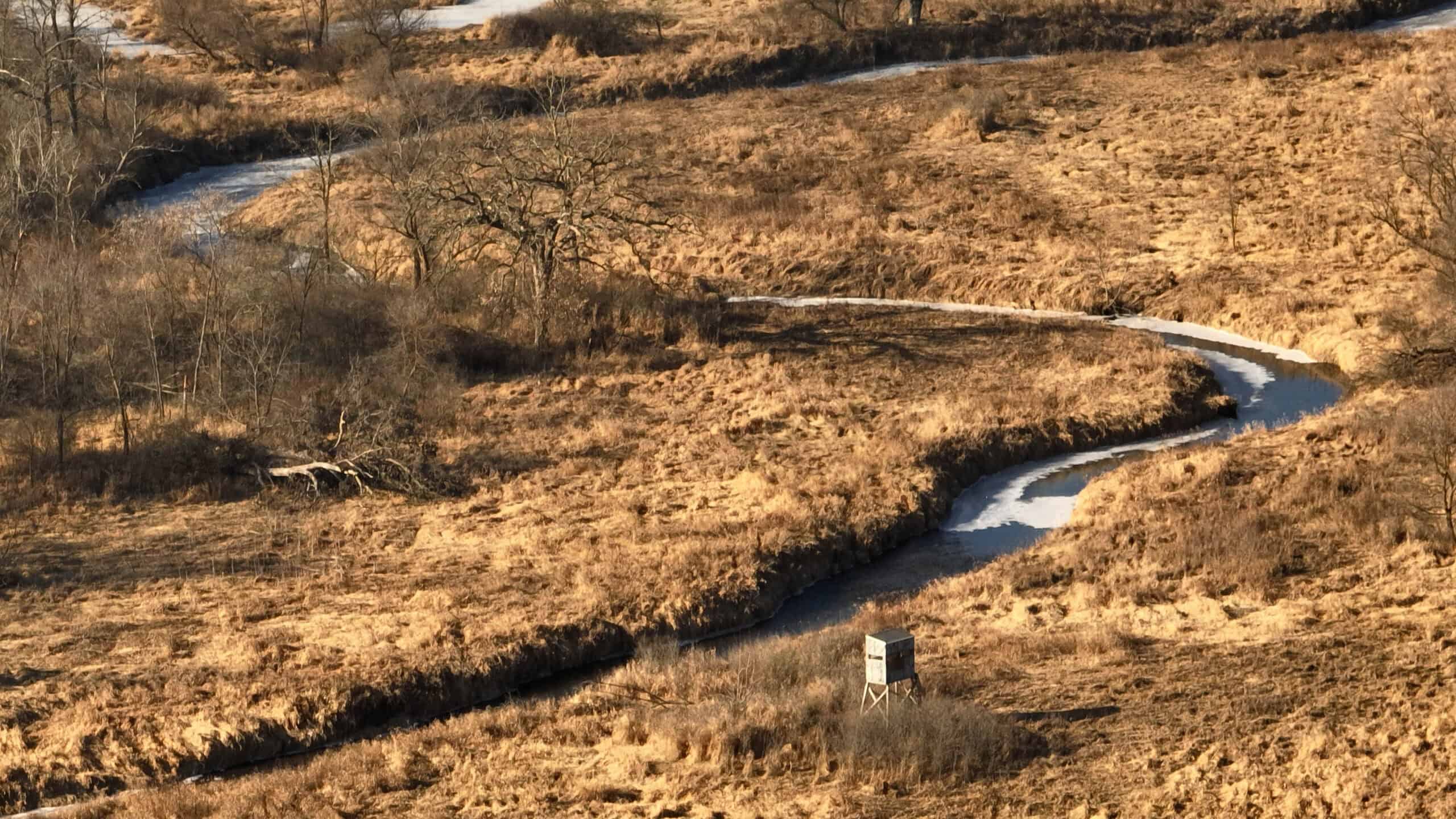 Affordable Hunting Land with Trout Stream for Sale in Richland County, Wisconsin