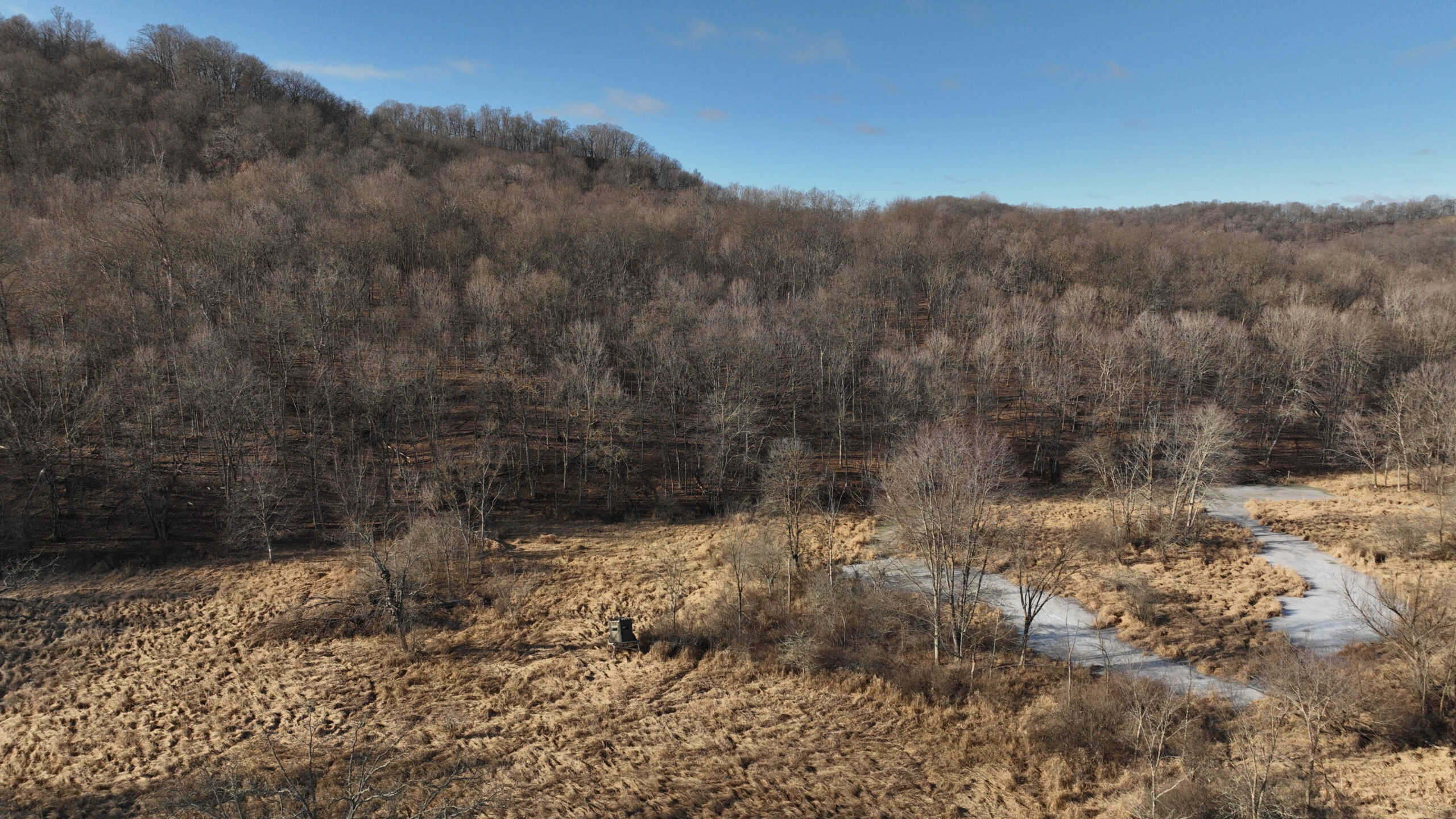 Affordable Hunting Land with Trout Stream for Sale in Richland County, Wisconsin