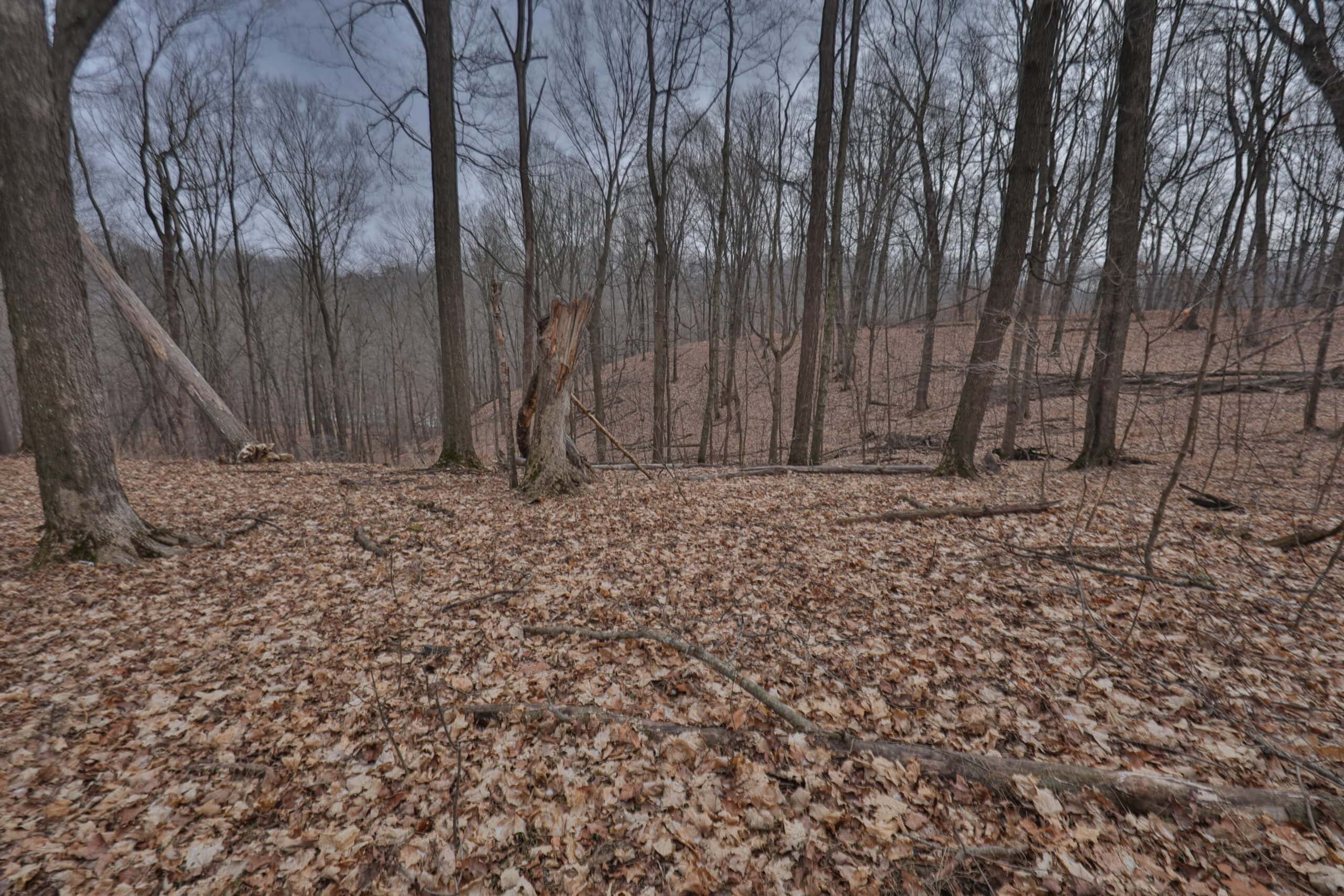 Ridgetop Hunting Land for sale in Vernon County, Wisconsin